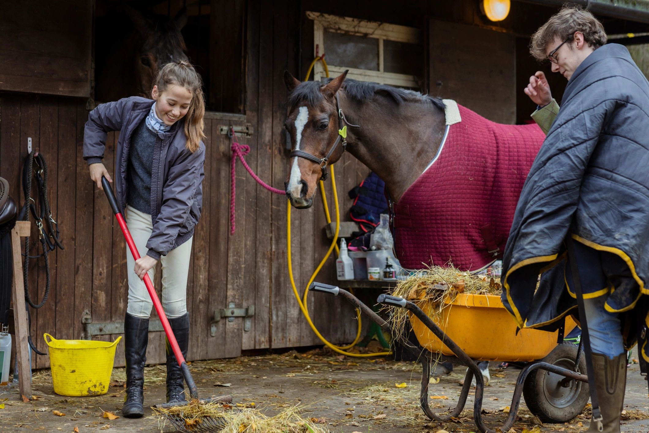Ranch setting and horse care environment