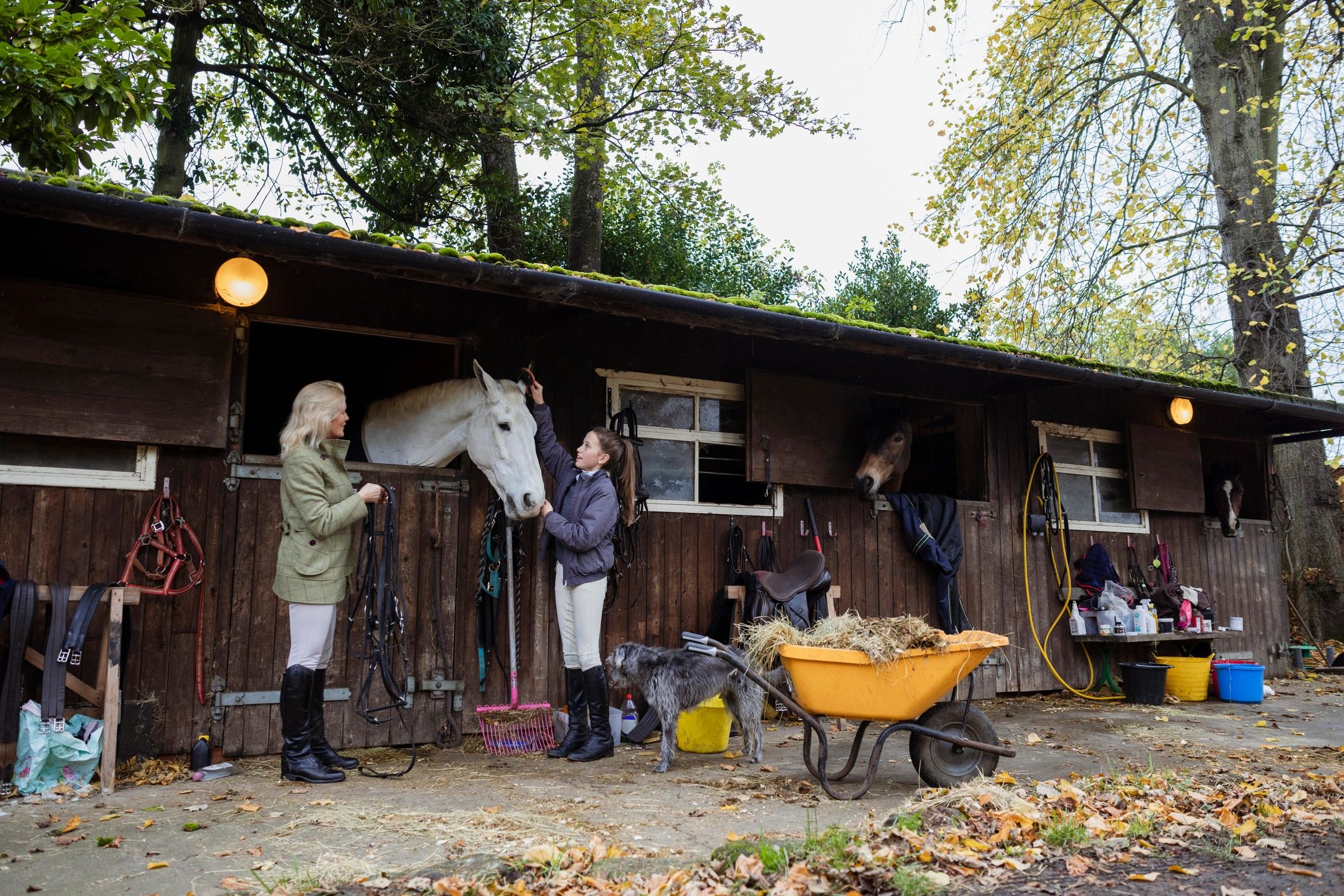 Family caring for a horse at the stable