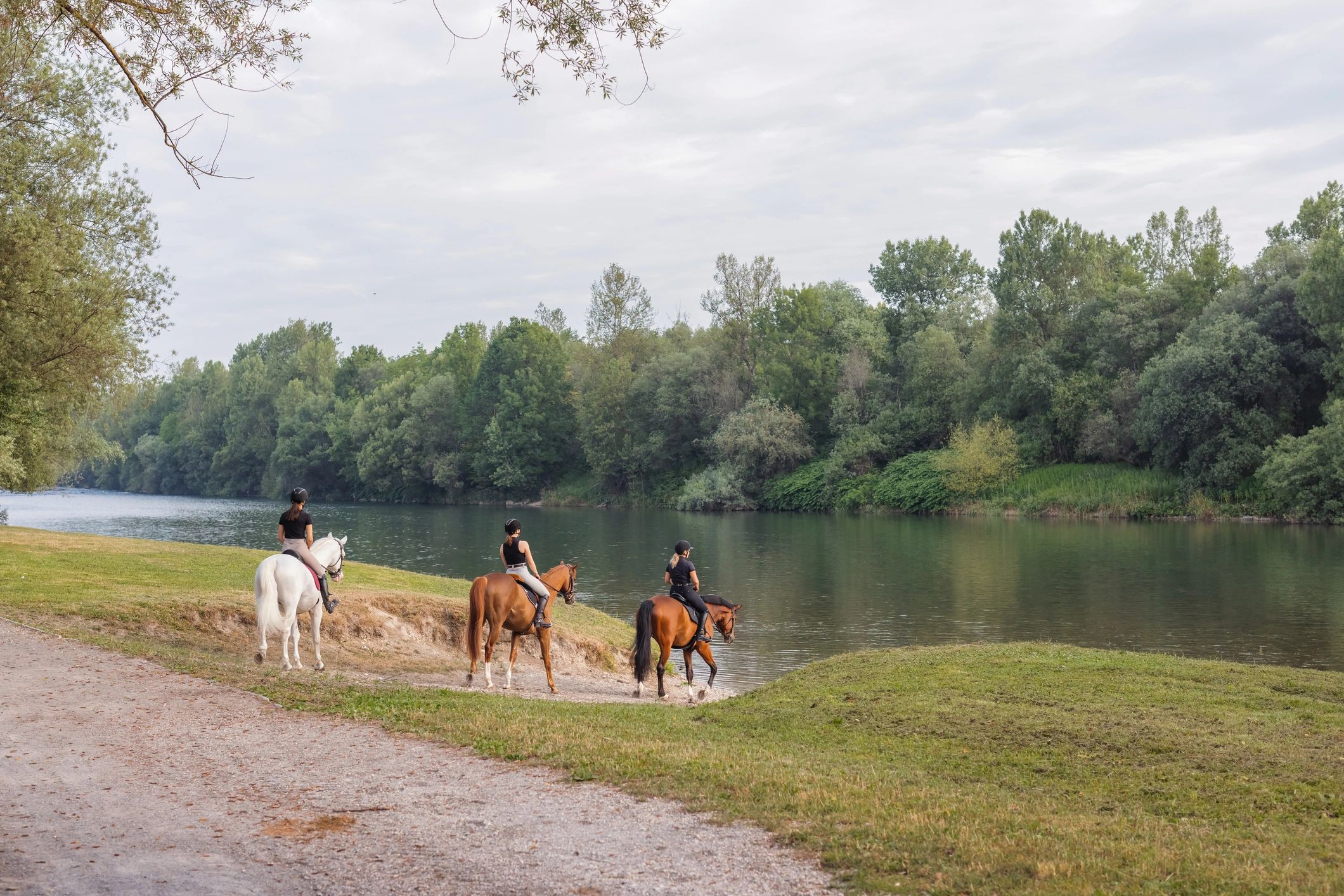 Three riders enjoying a horseback ride in nature